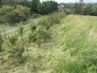 Neuigkeiten zur Karweiler Dorfhütte